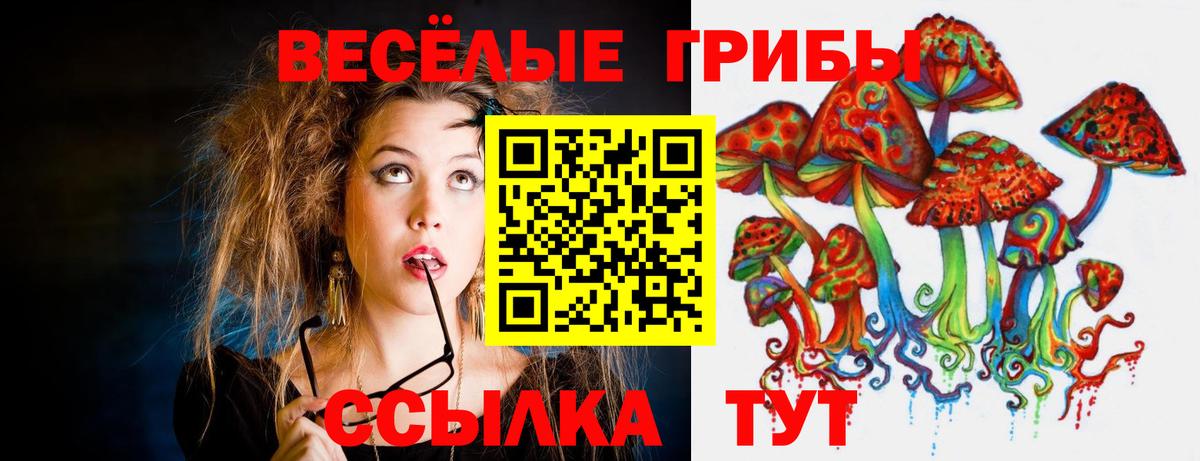 Псилоцибиновые грибы Psilocybine cubensis  Вход с VPN  как найти   Рославль  Псилоцибиновые грибы прущие грибы 